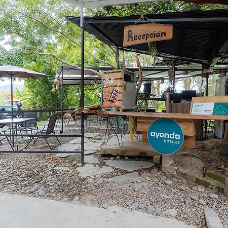 Ayenda Flora Jaguar Bed & Breakfast Ibagué Dış mekan fotoğraf