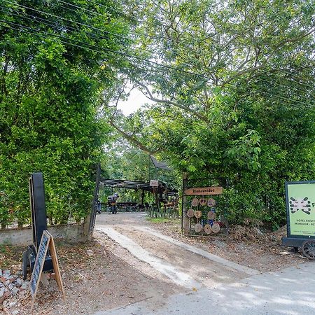 Ayenda Flora Jaguar Bed & Breakfast Ibagué Dış mekan fotoğraf