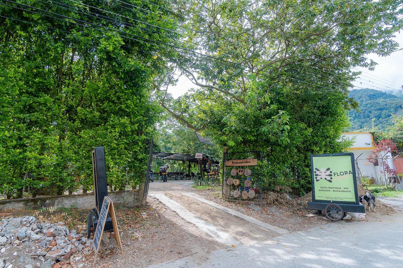Ayenda Flora Jaguar Bed & Breakfast Ibagué Dış mekan fotoğraf