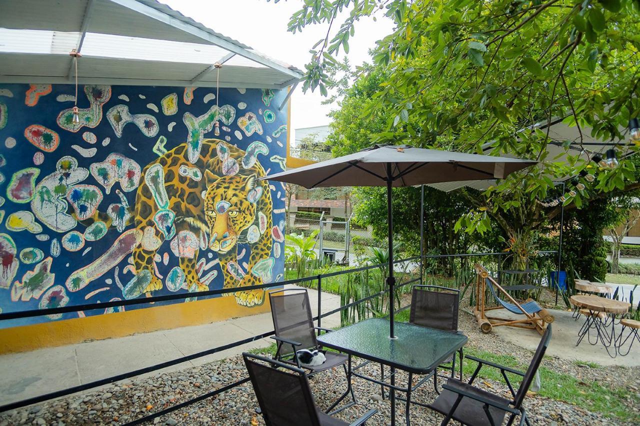 Ayenda Flora Jaguar Bed & Breakfast Ibagué Dış mekan fotoğraf